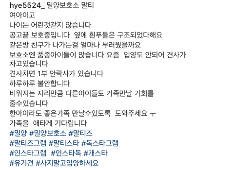 태어난지 얼마 안 된 새끼들과 어미견들이 많은 밀양보호소의 아이들을 구해주세요. 도와주세요 | 인스티즈