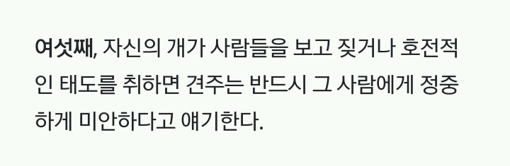 미국인들의 개 산책 문화 | 인스티즈