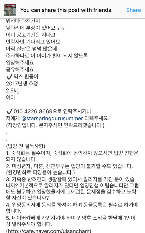안락사확정된 아이들 보고가주라 ㅠㅠ 부탁해 | 인스티즈
