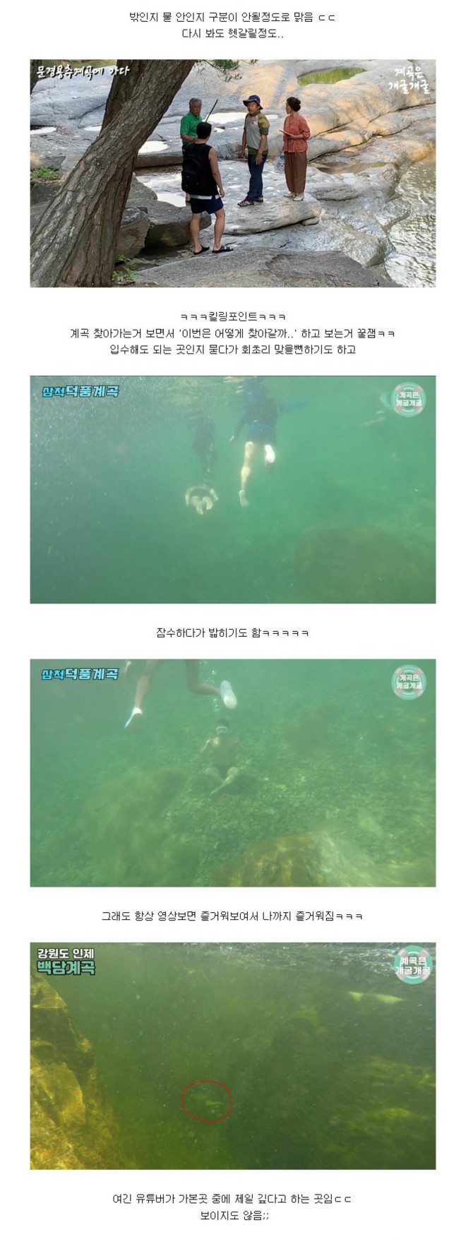 한국에서 단 한명밖에 없는 컨텐츠를 가진 유튜버 | 인스티즈