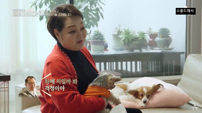  빅마마 이혜정의 스트릿출신 반려견들 (귀여움주의) | 인스티즈