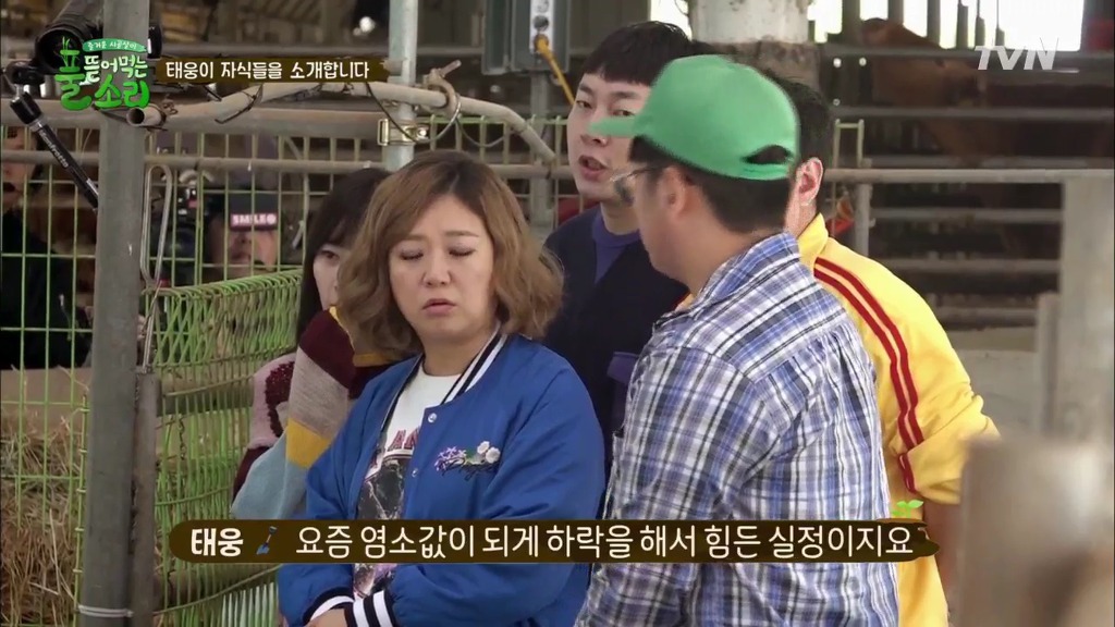[풀뜯어먹는소리] 닭에서 시작해 소까지 살 수 있게 된 중딩농부 태웅.jpg | 인스티즈