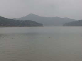 춘풍 이미지