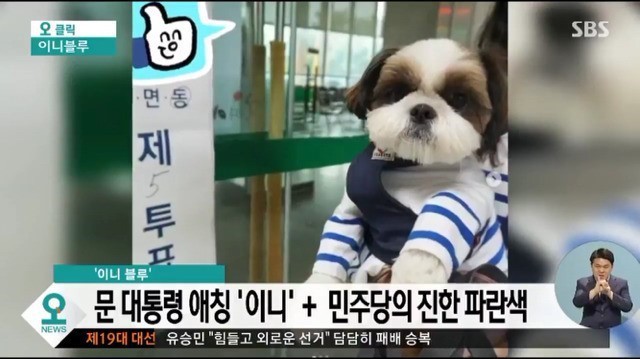 대통령 덕질하는 대한민국 | 인스티즈