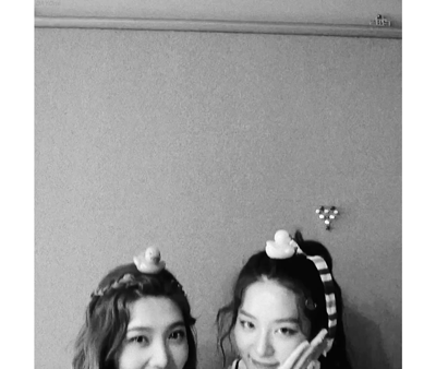 귀여운 레드벨벳 친구즈.gif | 인스티즈