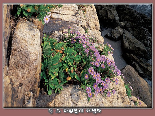 바람난공주 이미지