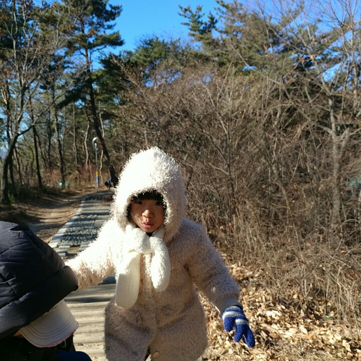 연이숲 이미지