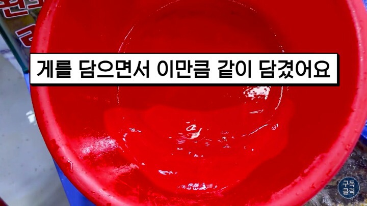 수산물 시장가서 유심히 봐야할 저울 사기치는 방법 | 인스티즈