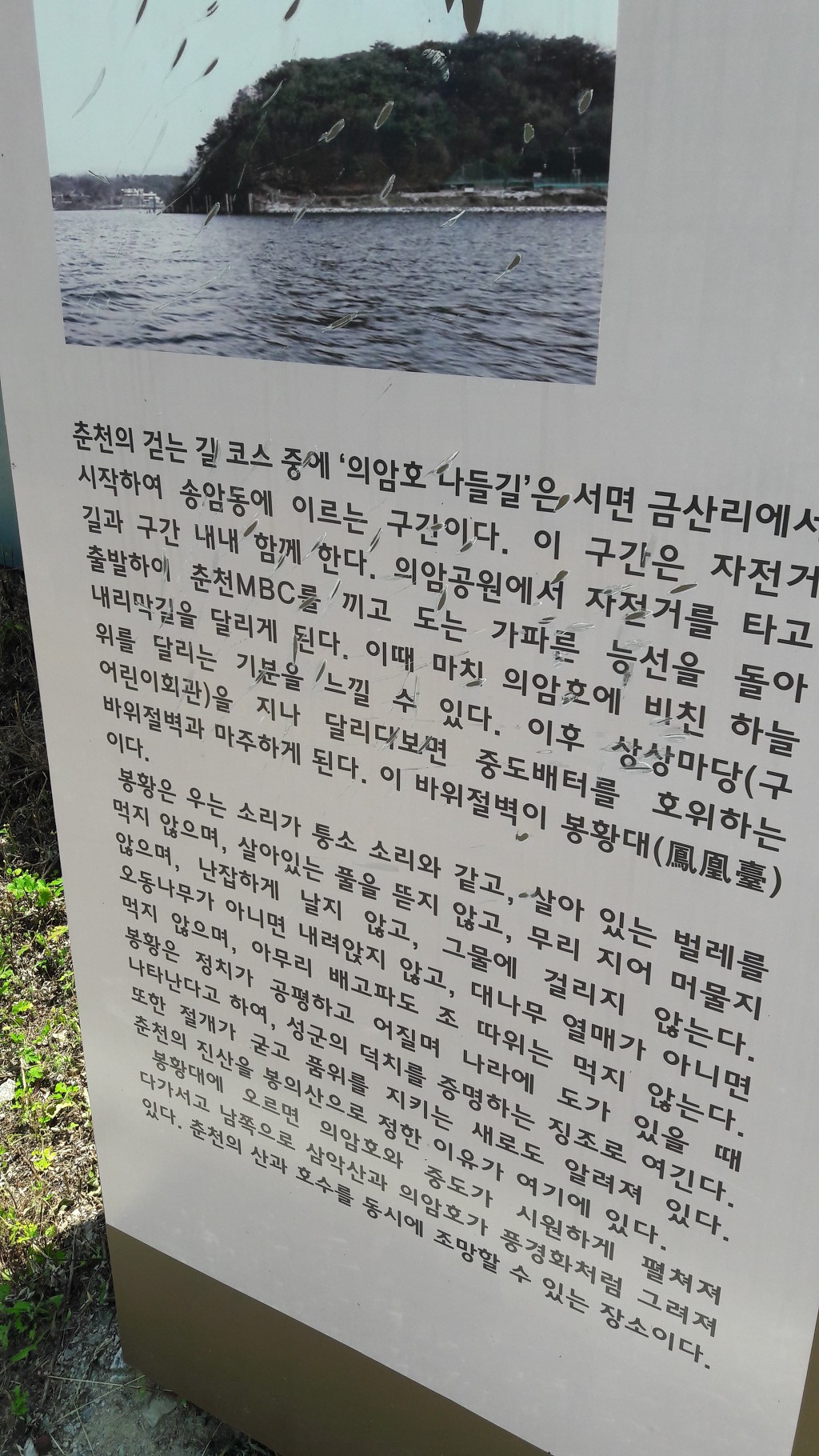 홍안서생 이미지