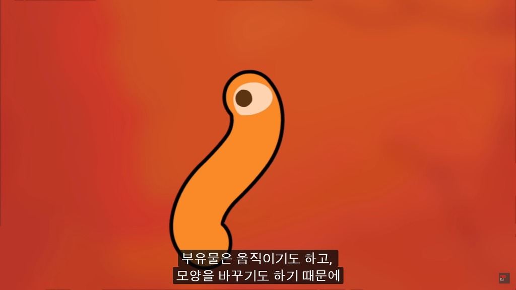 여러분의 눈에 둥둥 떠다니는 그것들은 무엇일까요? | 인스티즈