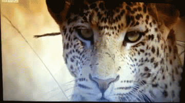 갑분싸 레전드.gif | 인스티즈