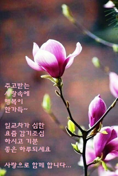 지금;여기서행복할것 이미지