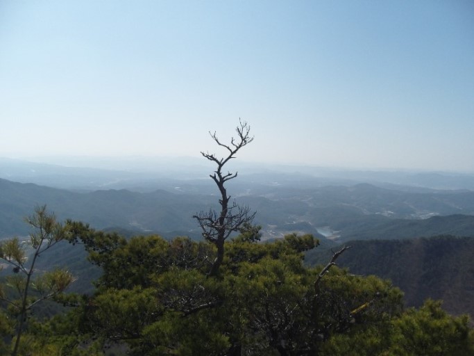 수석이용원 이미지
