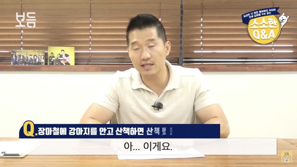 장마철에 강아지를 안고 산책하면 산책했다고 느끼나요?.jpg | 인스티즈