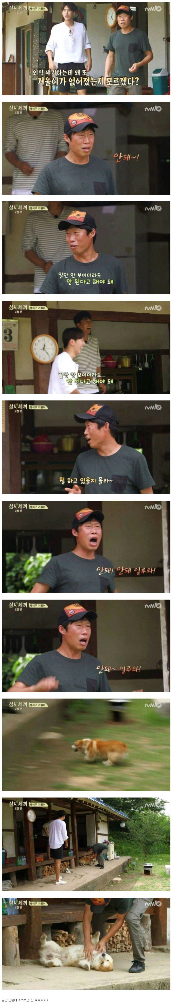 반려견 안보일때 꿀팁 | 인스티즈