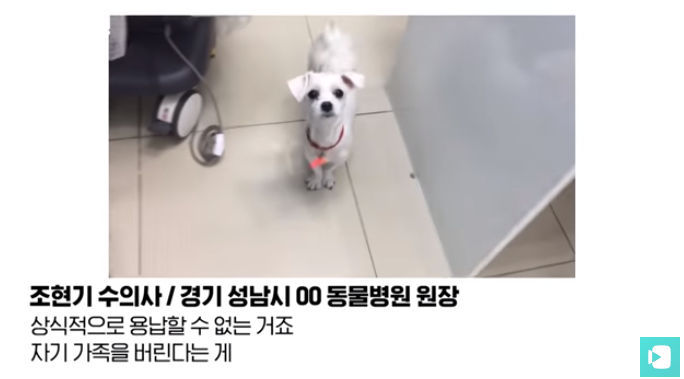 폭염 속 버려진 똘똘이가 모니로 개명한 사연 | 인스티즈