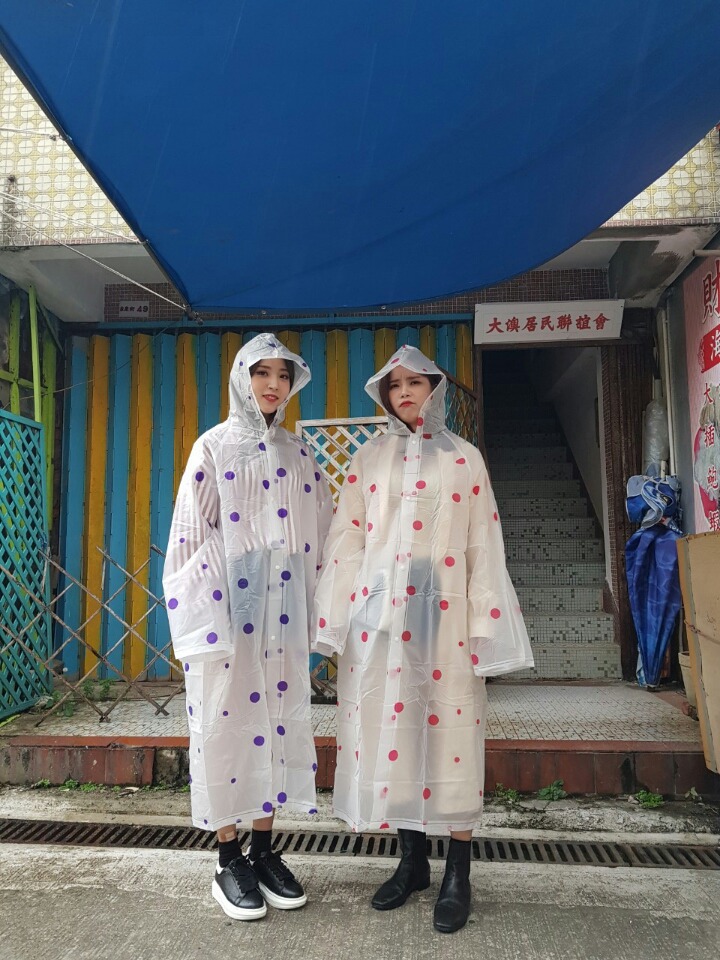 별콩 이미지