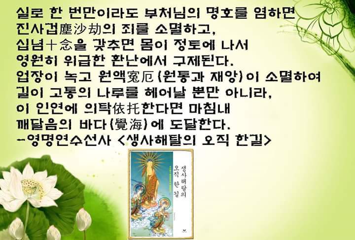 금자 이미지