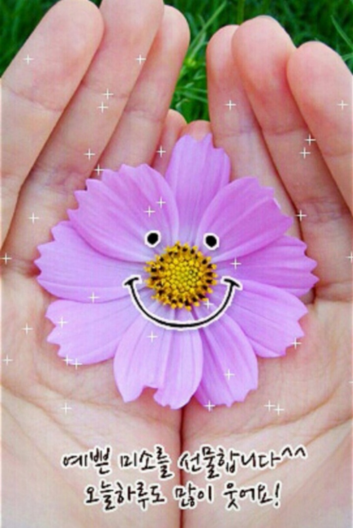 즐거운 이미지