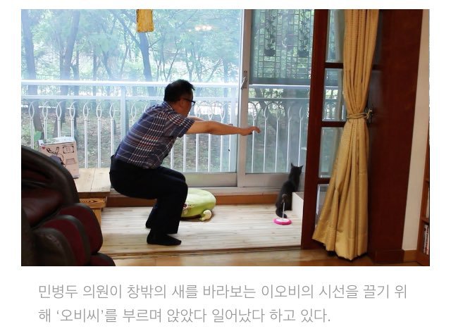 고양이한테 관심받고싶은 국회의원 | 인스티즈