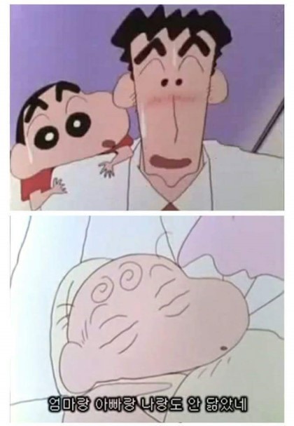 짱아 이미지