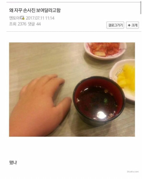 디씨인의 인증 | 인스티즈