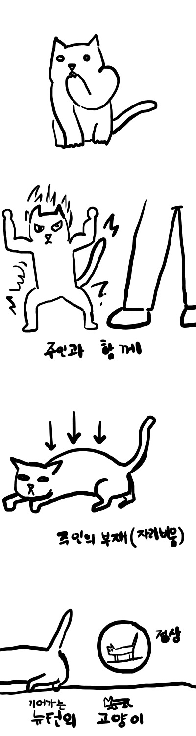 고양이 집사의 이야기6 [고양이와힘] | 인스티즈
