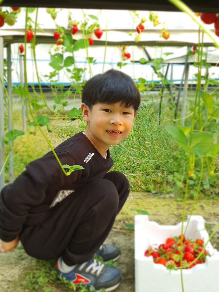 아리솔 이미지