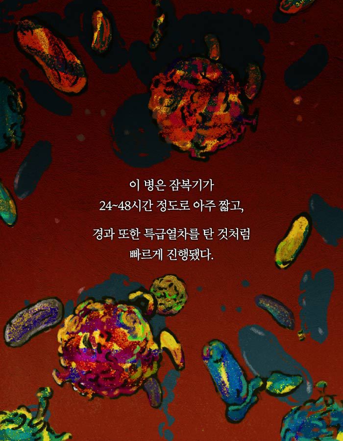 [책소개] 동물병원에 군인들이 닥친 이유 | 인스티즈