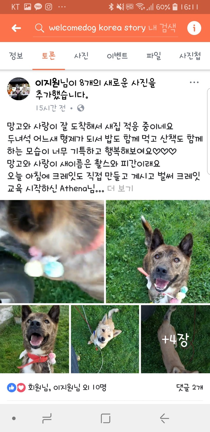 웰컴독 이미지