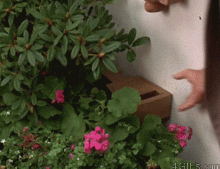현관문에 열쇠가 없을때 사용하는 비상열쇠.gif | 인스티즈