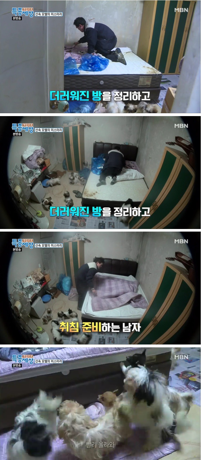 엔젤모텔 이미지