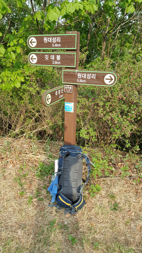 축령 이미지
