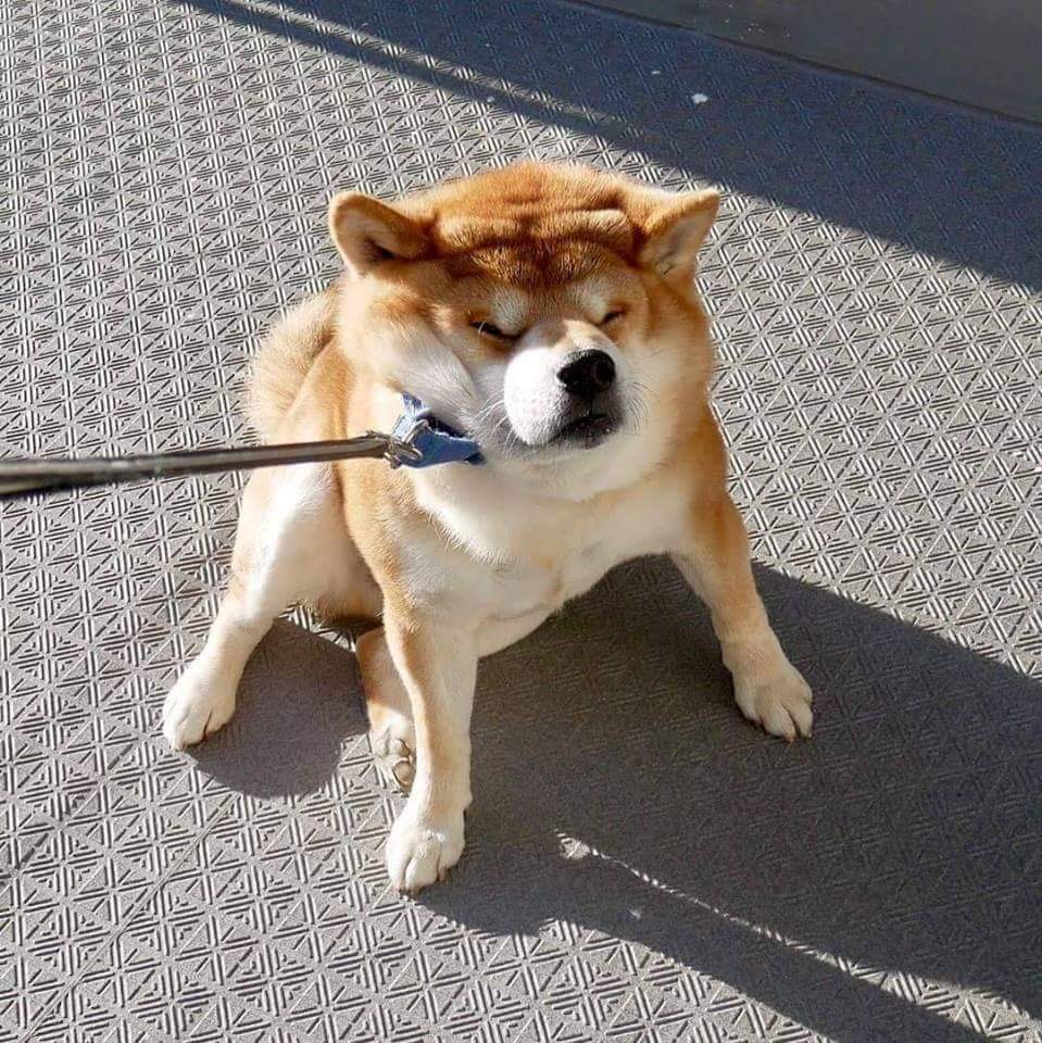 안가 이미지