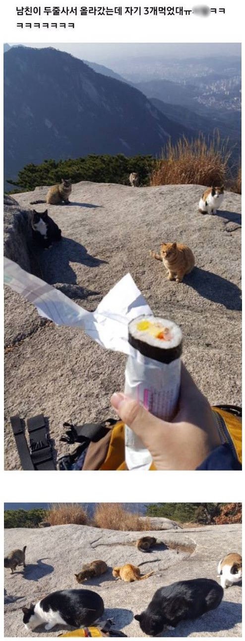 거 인간동무 고저 조용히 내려놓고 갈길가라우 | 인스티즈